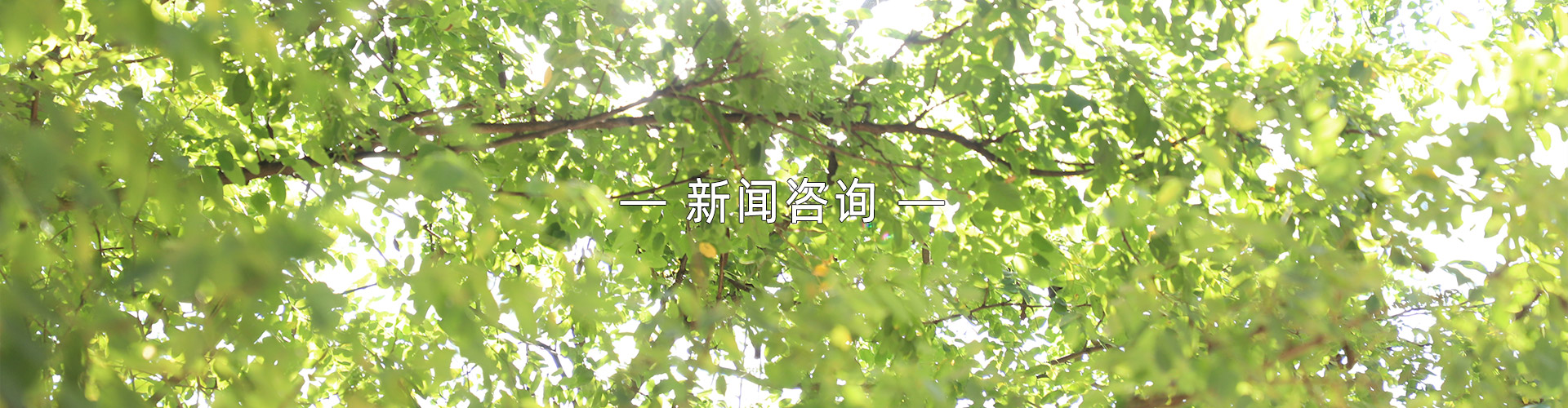 廣告輪換1